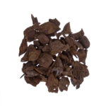 ⁦جايبورا Underwater⁩ - الصورة ⁦3⁩