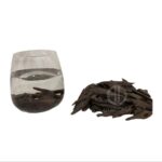 جايبورا Underwater