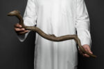 تُحفة عود "جنوب تايلند"